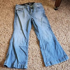 Torrid Bombshell Flare Premium Stretch Jeans